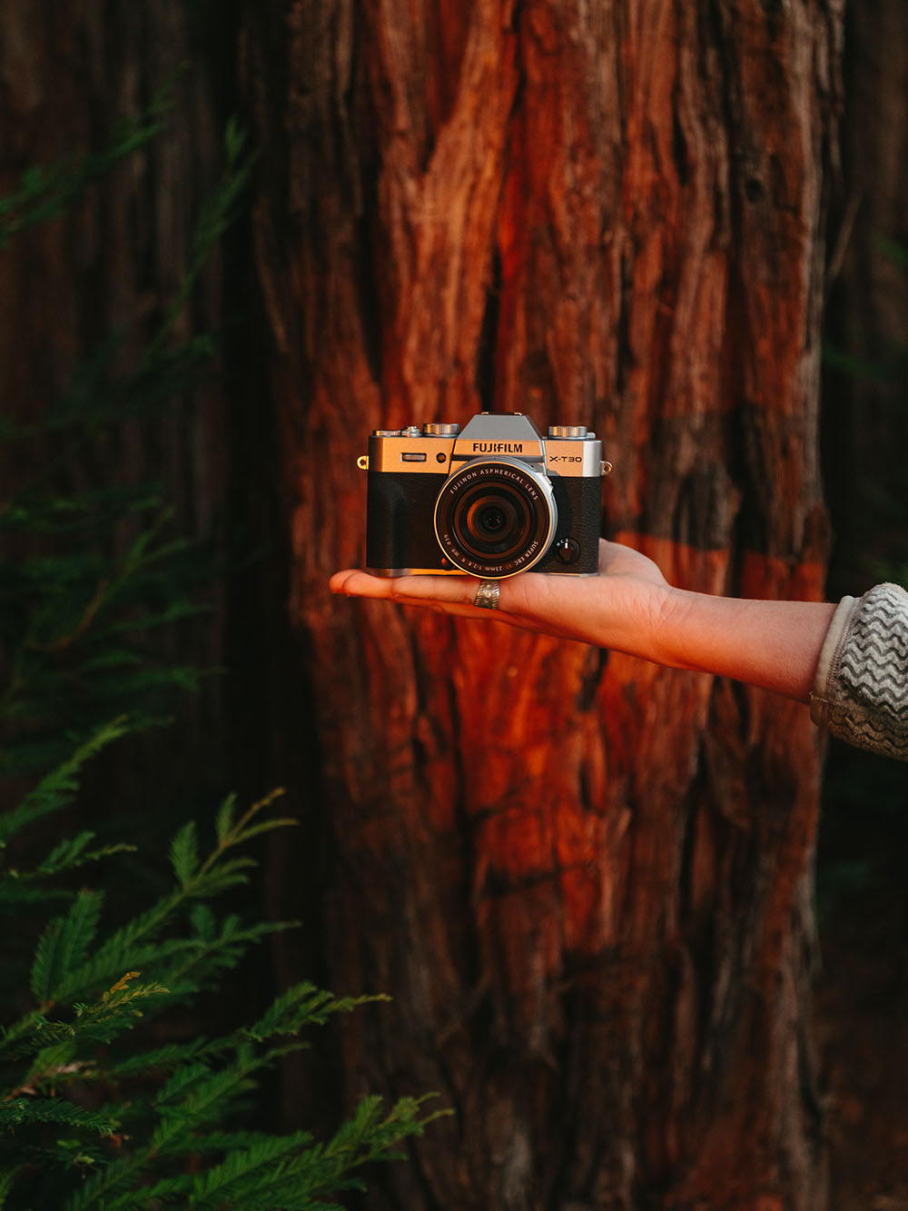 Aparat cyfrowy Fujifilm X-T30 III body czarny