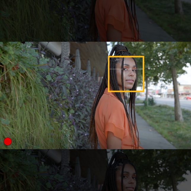 Panasonic LUMIX S 50 mm f/1.8