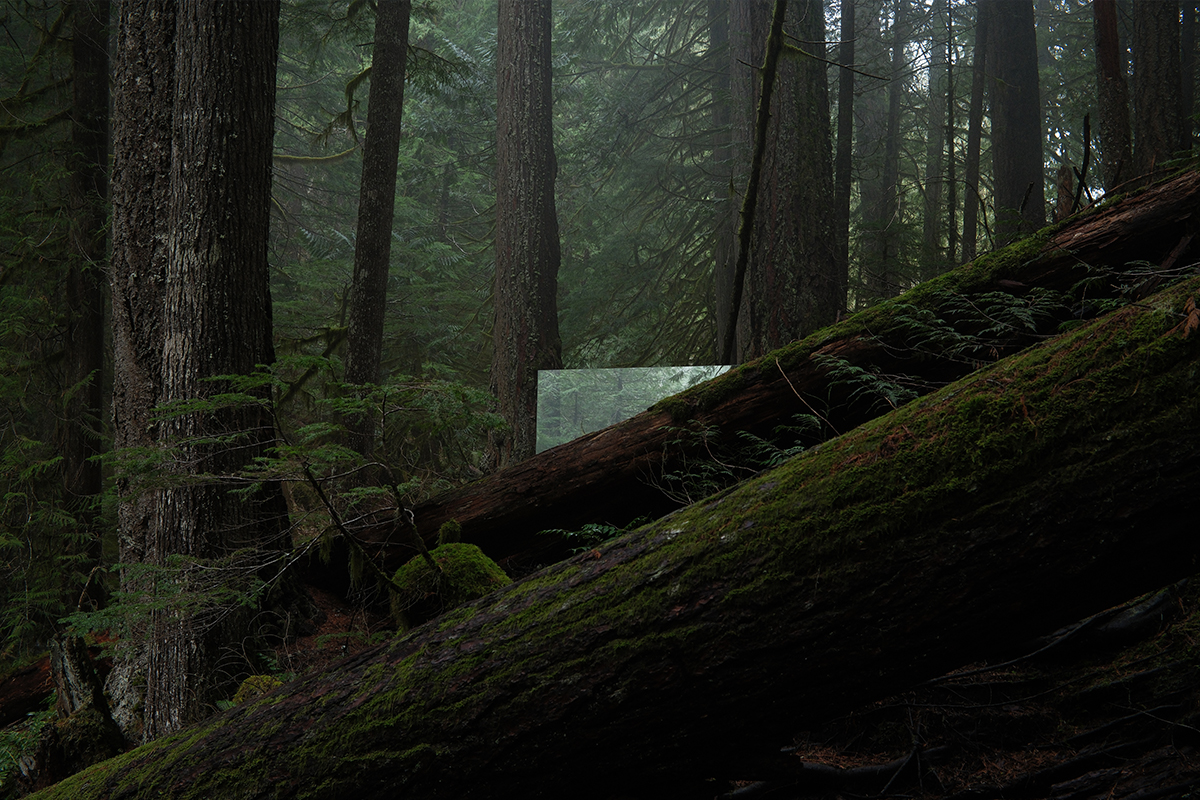 Aparat cyfrowy FujiFilm X100VI srebrny