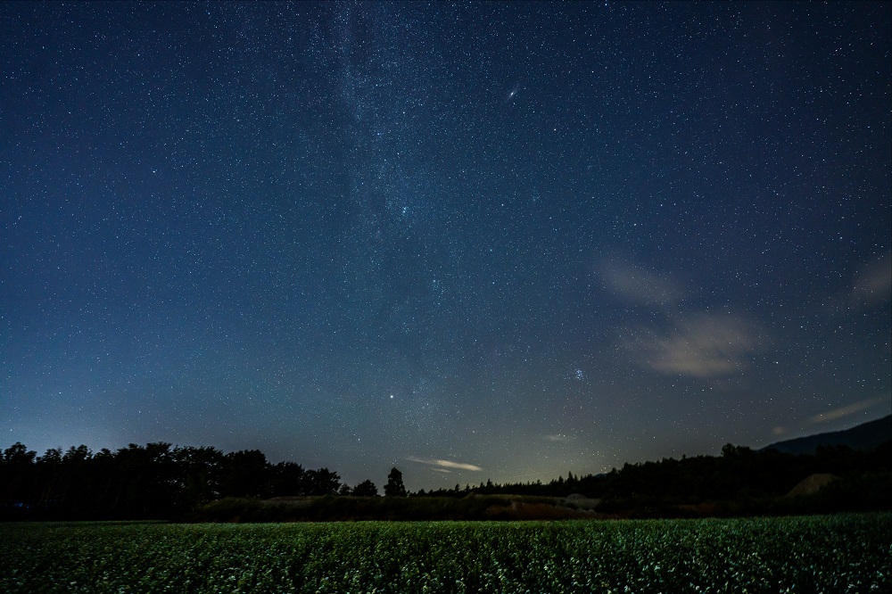 Obiektyw Sigma A 14-24 mm f/2.8 DG DN / Sony E