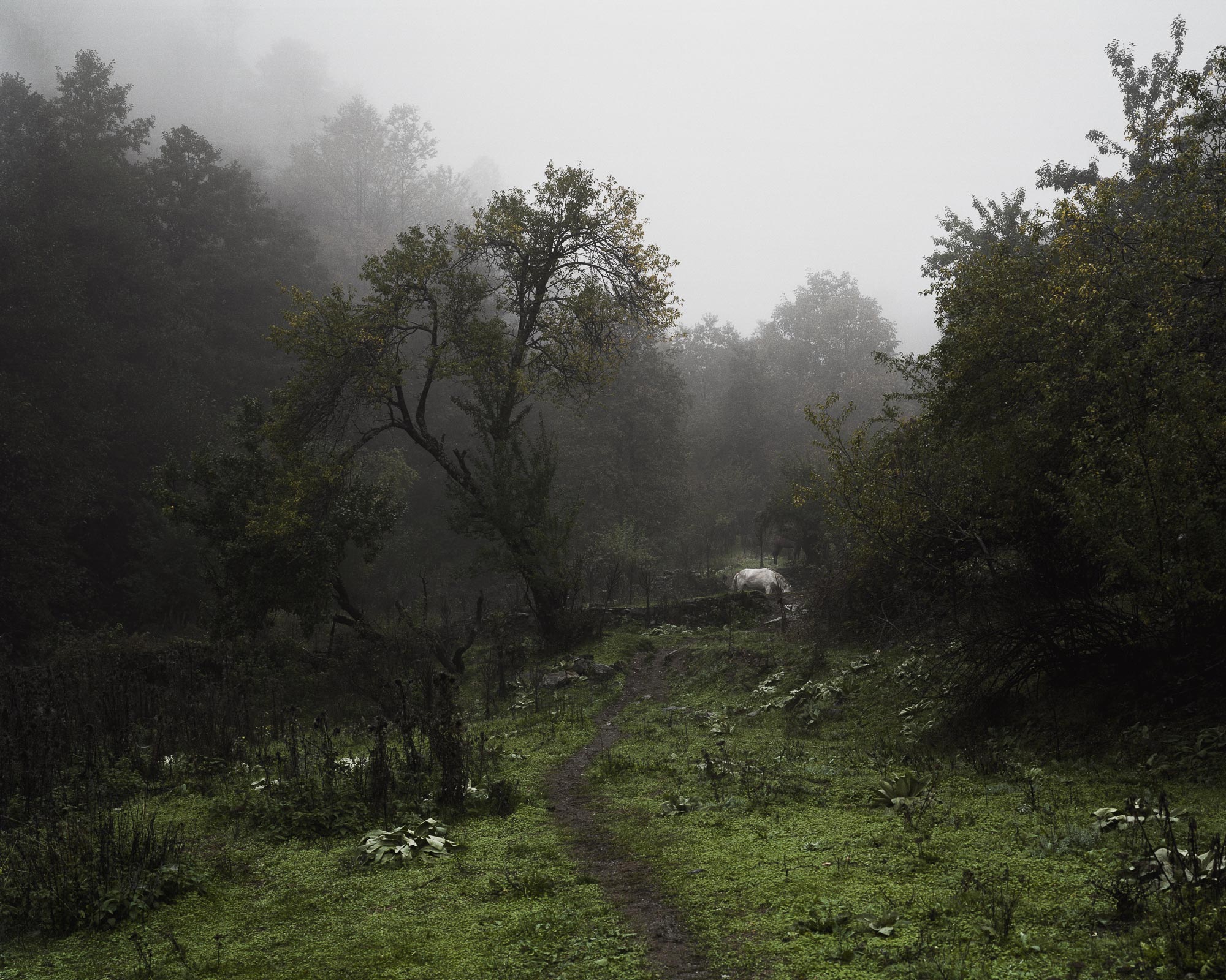 Cyfrowe.pl Fotospacer z Michałem Siarkiem - Łódź Fotograficzna