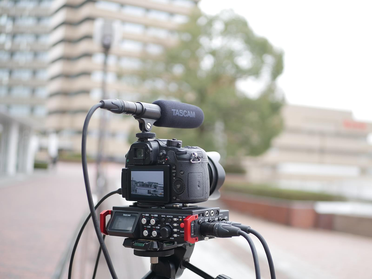 Tascam TM-200SG Shotgun