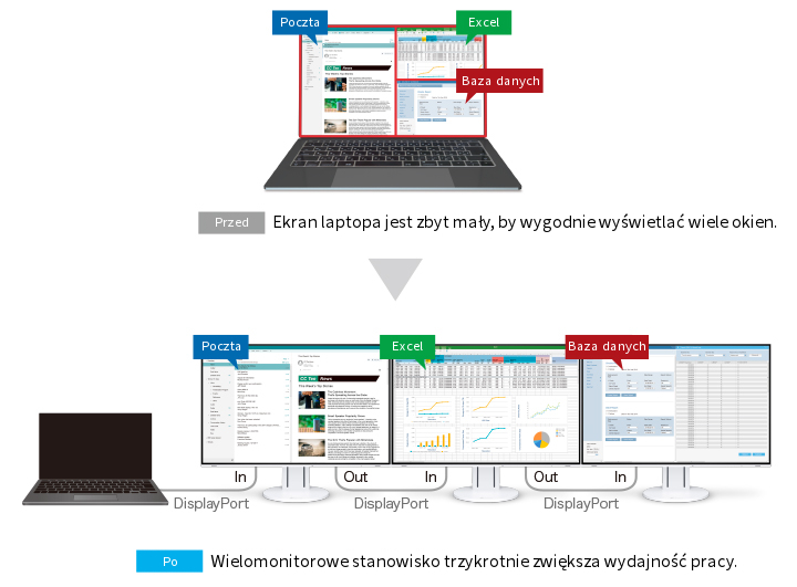 Monitor Eizo FlexScan EV2457 biały