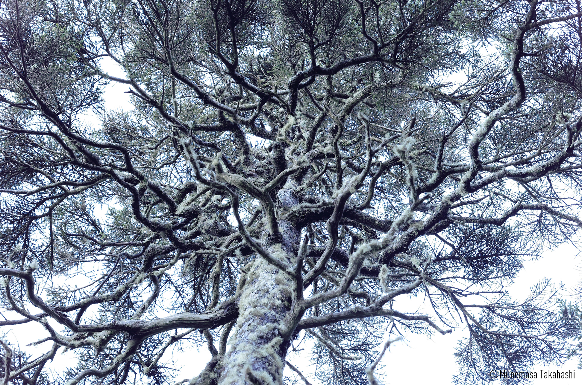 Aparat cyfrowy Panasonic Lumix DC-S5M2 body