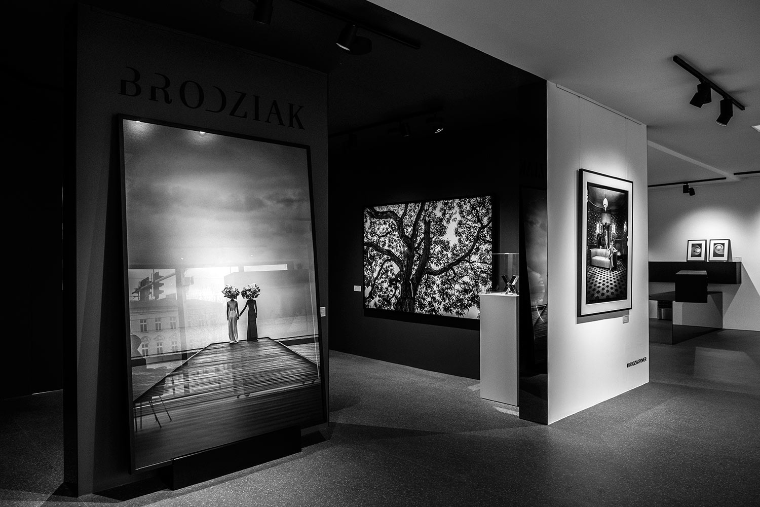 Brodziak Academy Mistrz Kreacji