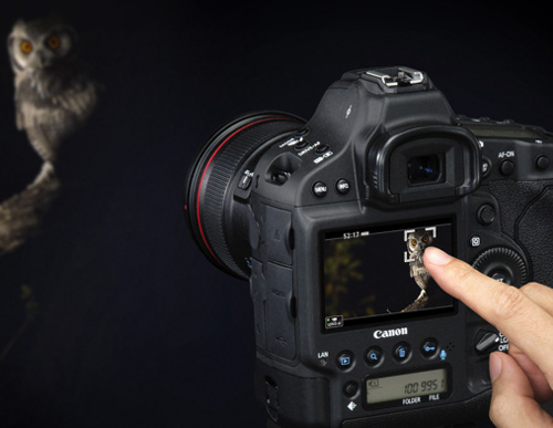 EOS 1DX Mark II 