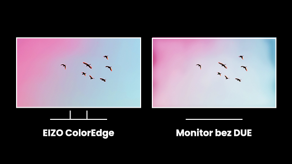 Monitor EIZO ColorEdge CG2420