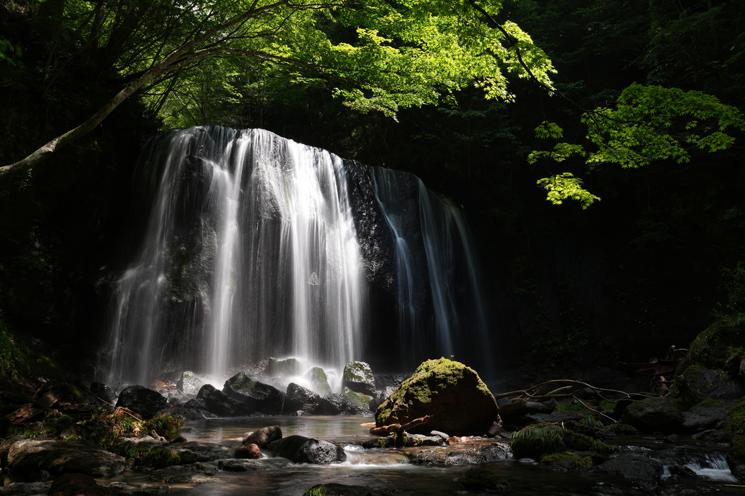 Aparat cyfrowy Sony A7R V body