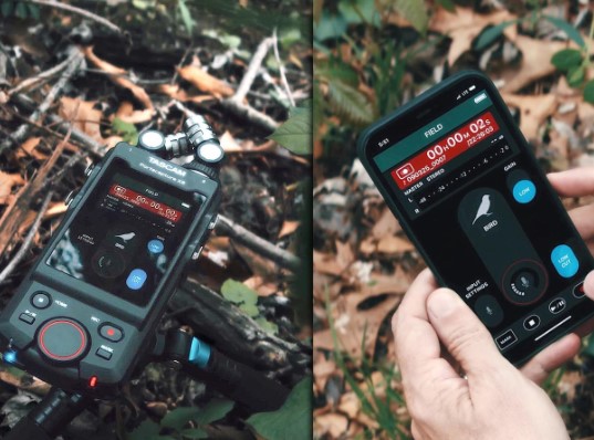 Tascam Rejestrator dzwięku Portcapture X8